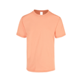 Men’s Heavy Weight Crew Neck Short Sleeve T-Shirt Neutral Colors · 100% Cotton C0300