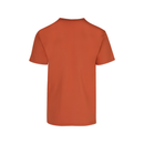 Men’s Heavy Weight Crew Neck Short Sleeve T-Shirt Vibrant Colors · 100% Cotton C0300