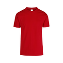 Men’s Heavy Weight Crew Neck Short Sleeve T-Shirt Vibrant Colors · 100% Cotton C0300